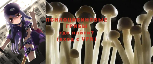 шишки Покров