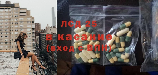 шишки Покачи
